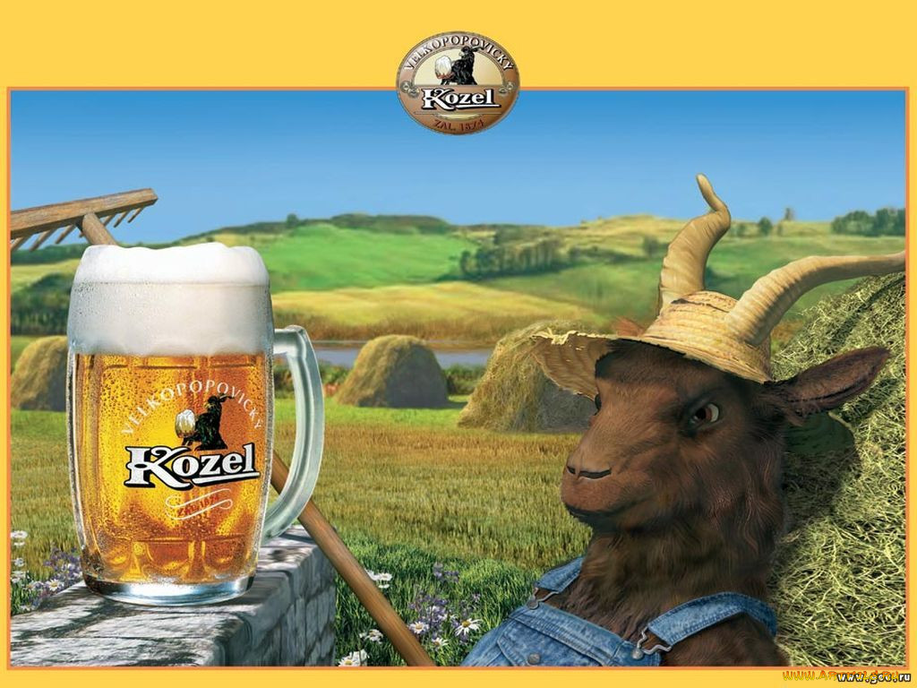 , kozel